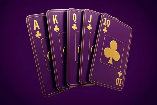 Mardi Gras Casino آن لائن کیسینو میں کھیلنے کی وجوہات